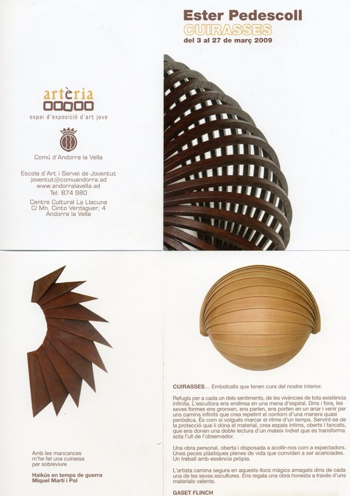 Cuirasses-flyer