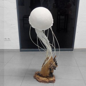 IMG_20161007_193417