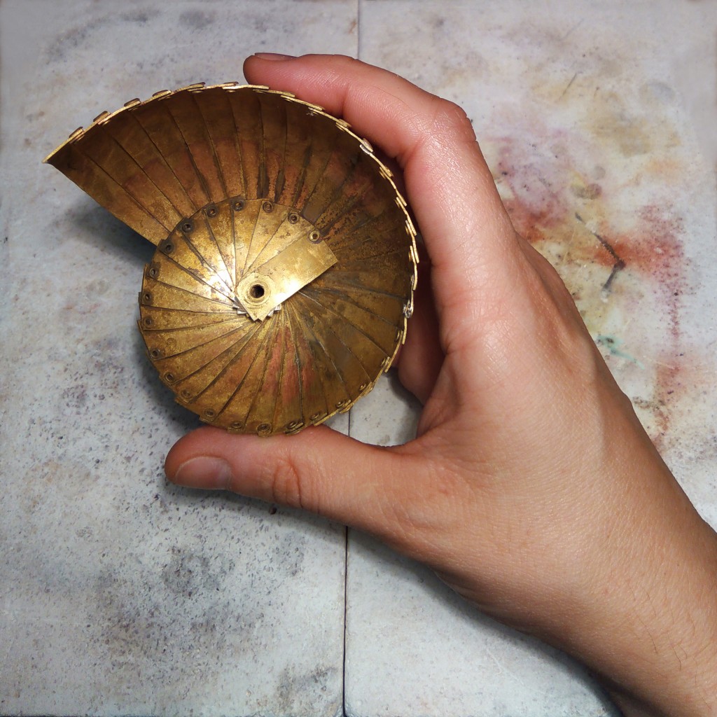 nautilus 5