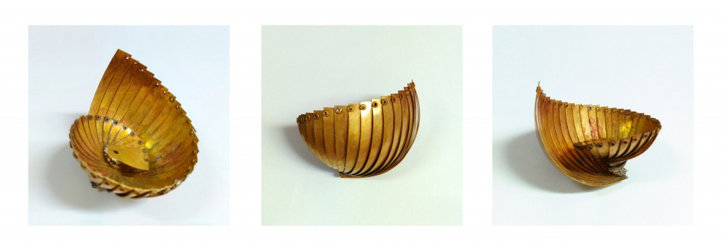 nautilus 6