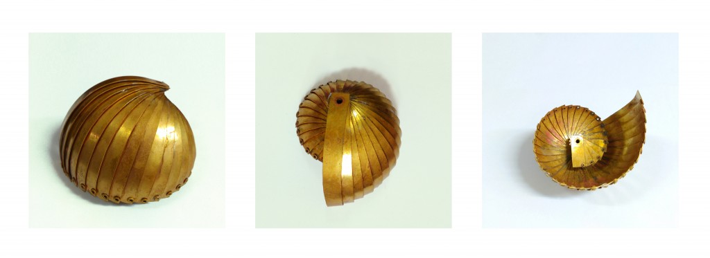 nautilus 7